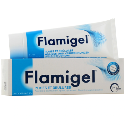 Image Flamigel